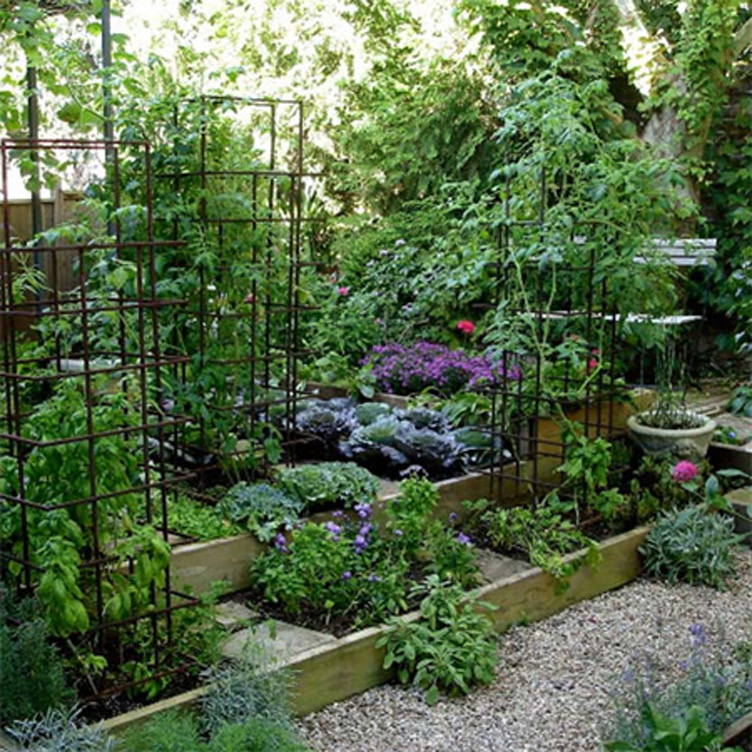 Как сделать простой поднятый огородик в саду