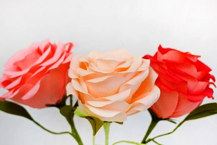 розы из гофрированной бумаги фото
