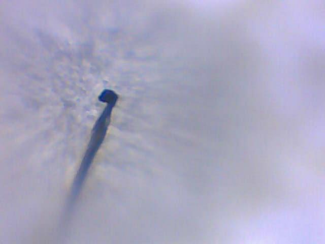 микроскоп из капли воды